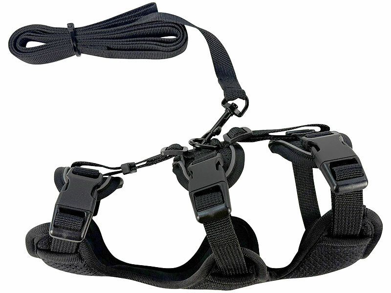 ; Katzengarnituren, Katzen-GarniturenTrainings gehen Harnesse outdoor Haustiere Kätzchen Kitten Katzen ausbruchsichereSicherheit Hundeleinen Hundegeschirre weiche gepolsterte PolsterungenKatzenleinenKatzengeschirreKatzenwestenWelpen Karabiner Gurte Reisen Urlaube bequeme soft Spaziergänge verstellbareWelpengeschirreWelpenwestenSicherheitsgeschirreFührleinenBrustgeschirrestufenlose Freilauf Auslauf Chihuahuas Doppelbauchgurte kleine fluchtsicherecats Brust Brustgurte Westen einstellbare Schnallen Klick-Schnallen Katzengarnituren, Katzen-GarniturenTrainings gehen Harnesse outdoor Haustiere Kätzchen Kitten Katzen ausbruchsichereSicherheit Hundeleinen Hundegeschirre weiche gepolsterte PolsterungenKatzenleinenKatzengeschirreKatzenwestenWelpen Karabiner Gurte Reisen Urlaube bequeme soft Spaziergänge verstellbareWelpengeschirreWelpenwestenSicherheitsgeschirreFührleinenBrustgeschirrestufenlose Freilauf Auslauf Chihuahuas Doppelbauchgurte kleine fluchtsicherecats Brust Brustgurte Westen einstellbare Schnallen Klick-Schnallen Katzengarnituren, Katzen-GarniturenTrainings gehen Harnesse outdoor Haustiere Kätzchen Kitten Katzen ausbruchsichereSicherheit Hundeleinen Hundegeschirre weiche gepolsterte PolsterungenKatzenleinenKatzengeschirreKatzenwestenWelpen Karabiner Gurte Reisen Urlaube bequeme soft Spaziergänge verstellbareWelpengeschirreWelpenwestenSicherheitsgeschirreFührleinenBrustgeschirrestufenlose Freilauf Auslauf Chihuahuas Doppelbauchgurte kleine fluchtsicherecats Brust Brustgurte Westen einstellbare Schnallen Klick-Schnallen
