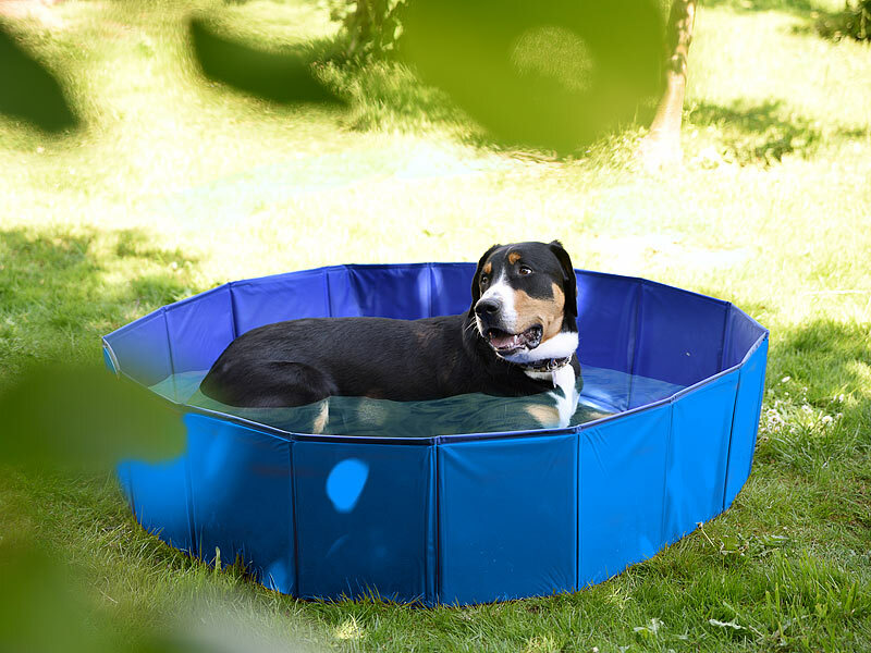 Sweetypet Faltbarer XL-Hundepool mit 120x30 Boden, rutschfestem cm, blau